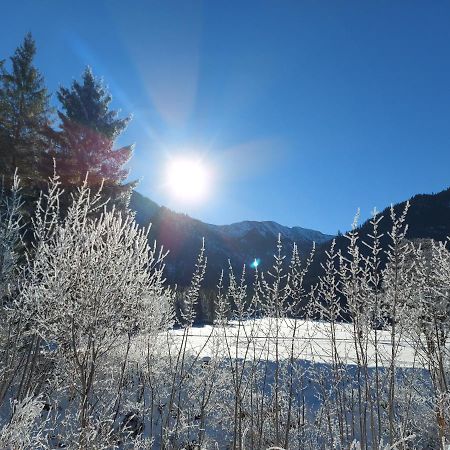 Fewo Sonnenberg Graswang Buitenkant foto