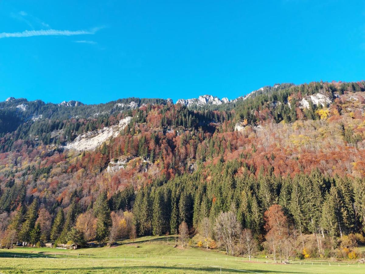 Fewo Sonnenberg Graswang Buitenkant foto
